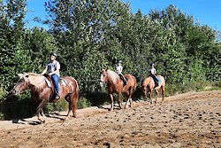 Familienurlaub mit Reiten im Bayerischer Wald